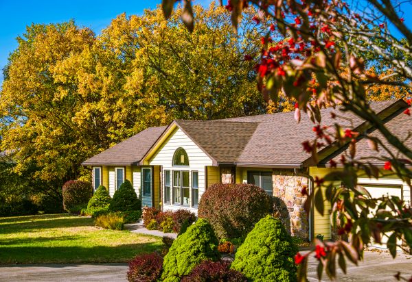 Ranch Landscaping in Cave Creek