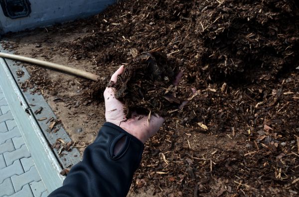 Condo Mulching in Cave Creek
