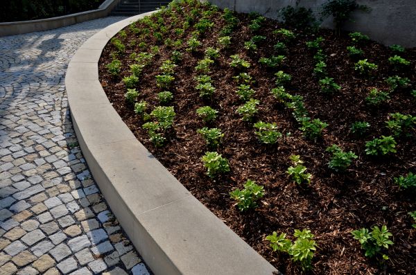 Commercial Mulching in Cave Creek