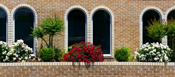 Church Landscaping in Cave Creek