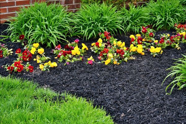 Apartment Mulching in Cave Creek